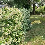 Le Magnolie 2 Lägenhet *