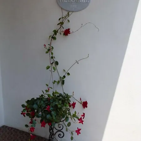 Le Magnolie 2 *