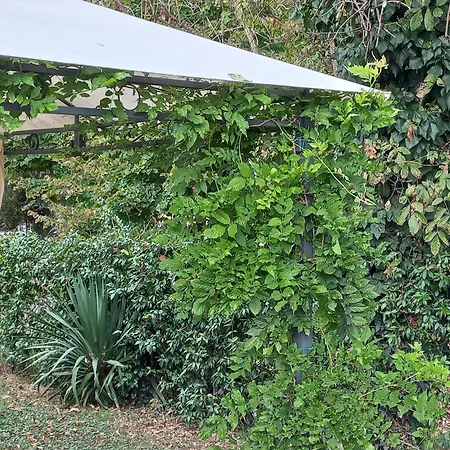 Appartamento Le Magnolie 2 Mestre