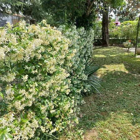 Le Magnolie 2 דירה *