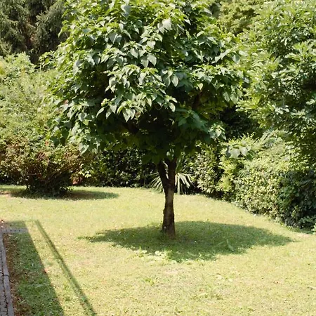 Le Magnolie 2 * מסטרה