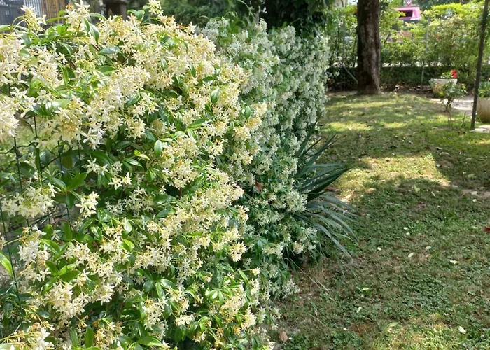 Le Magnolie 2 Appartamento *
